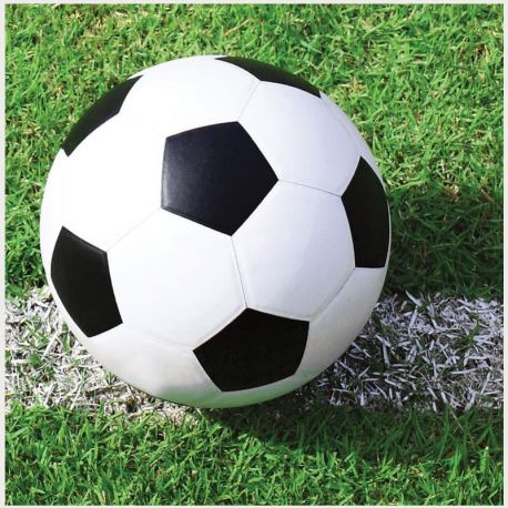 Tovaglioli Di Carta A Tema Calcio Euro 2024 - 33x33 Cm, Decorazioni Compleanno E Festa, Stoviglie Sportive Per Bambini E Adulti