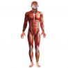 Costume da Anatomia per Uomo