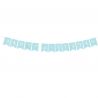 Festone Buon Compleanno Chic 