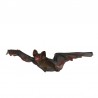 Pipistrello Animato