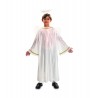 Compra Costume con Tunica Lucida da Angelo con Ali