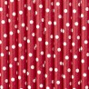 10 Cannucce con Pois di Carta 19,5 cm