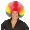 Parrucca Jimmy Gigante Multicolor in offerta
