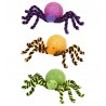 Ragni Multicolor che Cambiano Colore