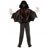 Costume da Conte Vampiro Infantile