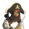 Barba da pirata assortita