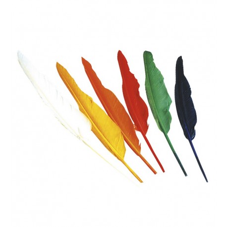 Set di 12 Piume da Indiano