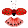 Set da Coccinella con Antenne