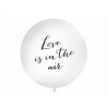 Palloncino Love Is in the Air 1 m Compra