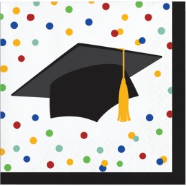 16 Tovaglioli Colorati per Laurea 25 Cm