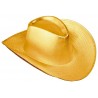 Cappello Cowboy Metallizzato Online