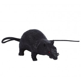 Ratto in Lattice 15 cm