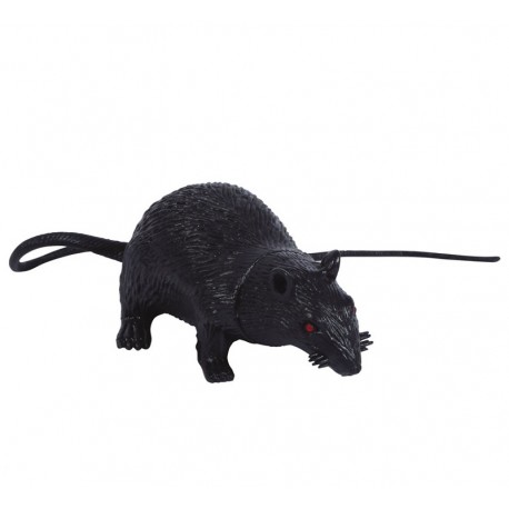 Ratto in Lattice 15 cm