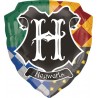 Palloncini Harry Potter Grandi