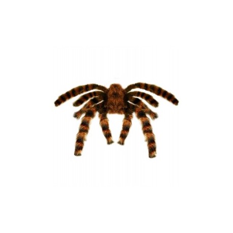 Araña Viuda Negra 90 cm