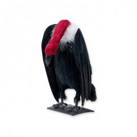 Avvoltoio Realistico con Piume