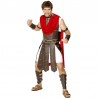 Costume Centurione Marrone Economico