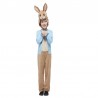 Costume Classico da Peter Rabbit Economico