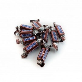 Barrette Snickers in Miniatura 2,5 Kg