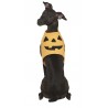 Costumi per Cani da Zucca