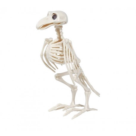 Scheletro Corvo 20 cm