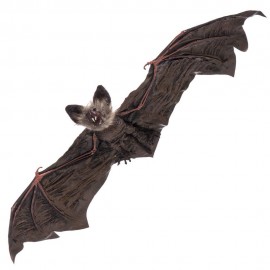 Pipistrello da Appendere 65 x 24 x 6 Cm Online