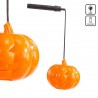 Compra Zucca con Luce Led in Plastica 11 Cm