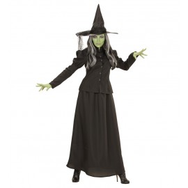 Costume Strega Mago di Oz Offerta