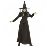 Costume Strega Mago di Oz Offerta