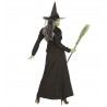 Costume Strega Mago di Oz Offerta