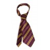 Cravatta Harry Potter