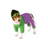 Costume Hulk per Cani