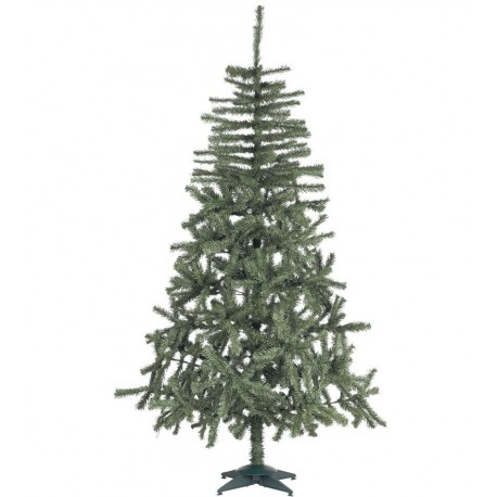 Arbol Douglas 696 Ramas 210 Cms