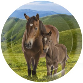8 Piatti Cavallo e Pony 23 cm