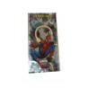 Sacchetto Spiderman di Plastica