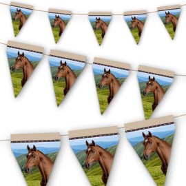 Set Completo Di Decorazioni Per Festa A Tema Cavallo – Include Piatti, Tovaglioli, Palloncini, Sfondo E Topper Per Torta, Per Bambini