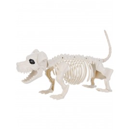 Scheletro Cane 55 cm