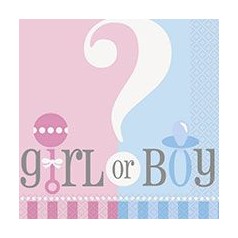 Baby Shower Gender Reveal