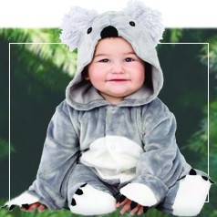 Costumi Koala