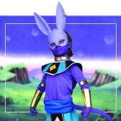 Costumi Beerus