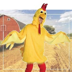 Costumi da Pollo