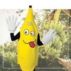 Costumi Banana