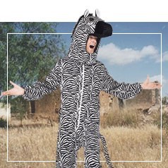 Costumi da Zebra