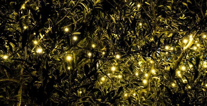 Scatola Decorazioni Natalizie Navaris - Organizer Con 64 Scomparti Per Palline, Lucine E Addobbi - Foto 3